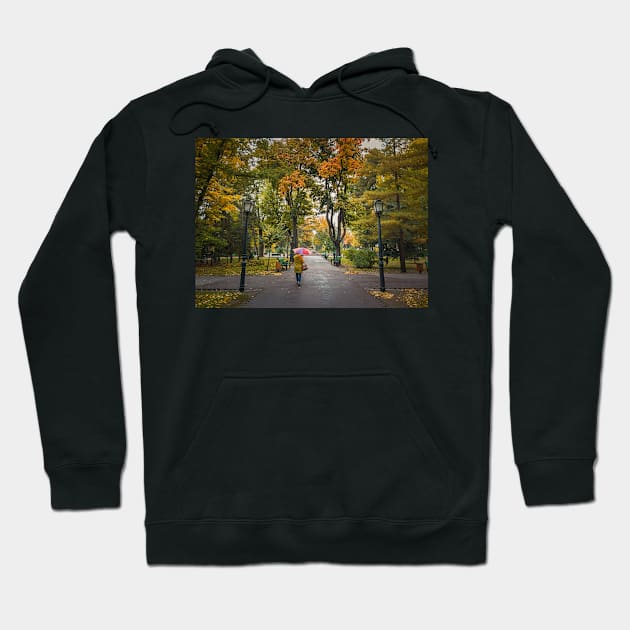 fall season in the park Hoodie by psychoshadow